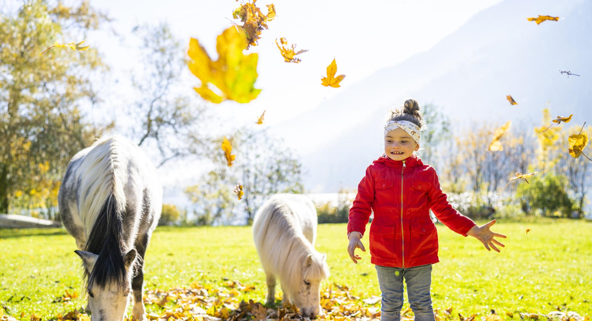 Brennseehof – Resort | Familie & Sport 66-0704-HR_brennseehof_by_gert_perauer