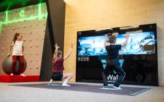 Emotion-Bewegungswelt, Gert Perauer