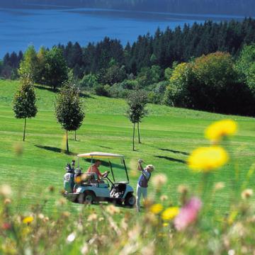 golfen2.gerineAufl.2012