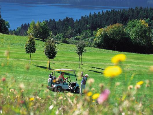 golfen2.gerineAufl.2012