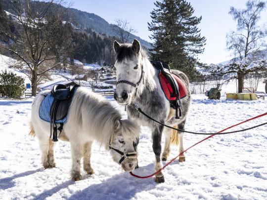 86-8522-HR_brennseehof_winter_by_gert_perauer