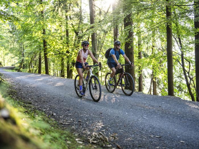 Radfahren_NOCKBIKE_Millstätter See Radweg_Millstätter See_Sommer &copy;Gert Perauer_MBN Tourismus
